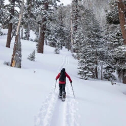 Jones High Sierra Schneehose Stealth Black Herren 14 Jones High Sierra Schneehose Stealth Black Herren -Skigeschäft jones high sierra pant stealth black 05 grosswzuHXuOY1M5As